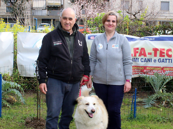Al via la 2° tappa del Campionato espositivo cinofilo amatoriale con premi e divertimento per tutti i cani