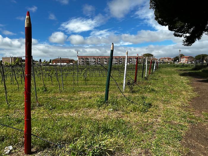 "Tra terra e cielo" con gli studenti dell'Istituto professionale agrario Leopoldo II di Lorena