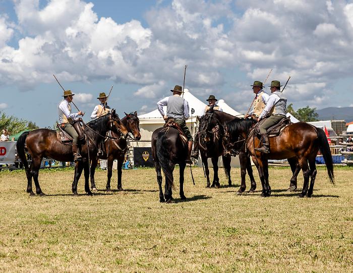 Da tutta Italia in Maremma per la Fiera del Madonnino: il bilancio dell'edizione 2025. Toscoleum torna nel 2027