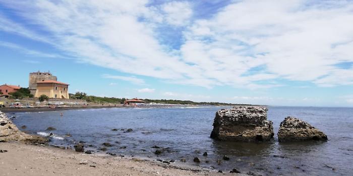 Al mare gratis in autobus: via al servizio di trasporto gratuito "Marebus"