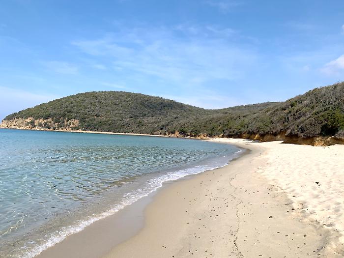 Cala Violina torna "a numero chiuso": in spiaggia solo su prenotazione e a pagamento