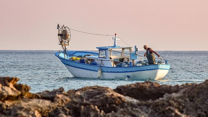 Al mercato la Giornata nazionale "Pesca amica", tutti gli eventi: "Basta pescato d'importazione, c'è rischio di contaminazioni"