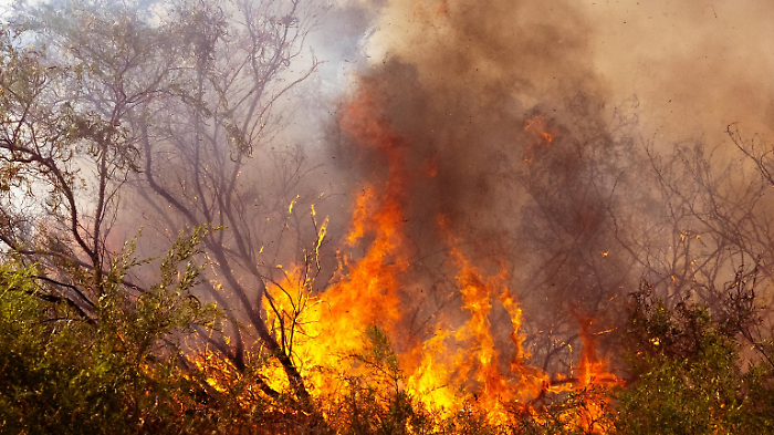Allarme incendi, scatta il divieto di accendere fuochi. Un numero verde per segnalare i roghi e le sanzioni per chi sgarra