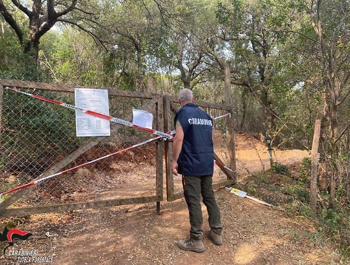 Devastano la macchia mediterranea per costruire una strada verso casa: due denunce per illeciti edilizi e ambientali