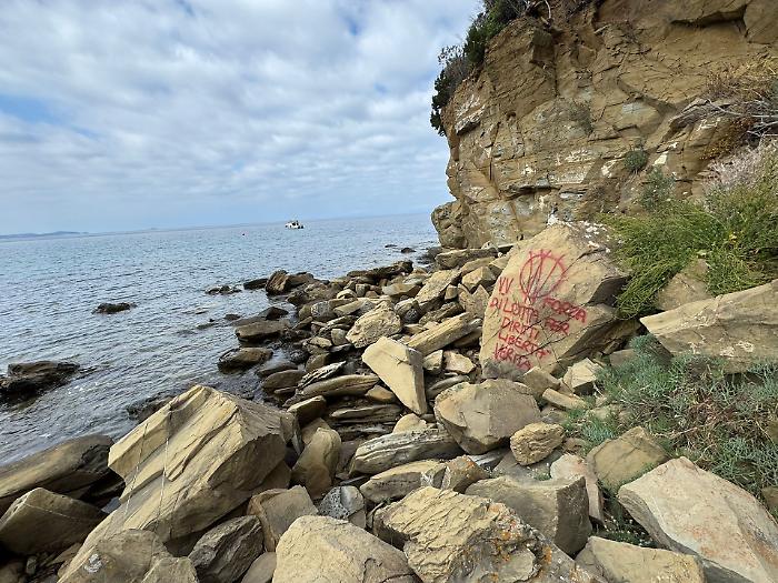 Scritte vandaliche No Vax sulle rocce e sui tronchi di Cala Martina: "Grave danno ambientale e culturale"