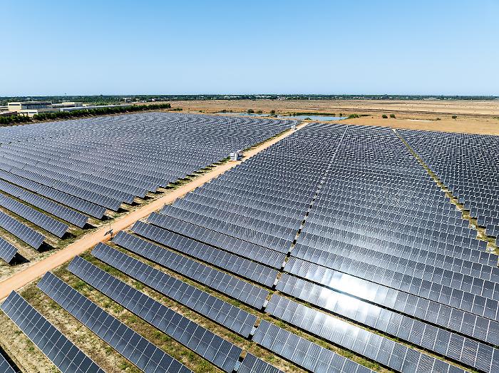 Alle Strillaie il nuovo parco fotovoltaico di Sorgenia: energia verde per 22mila famiglia – TUTTE LE FOTO