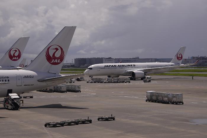 Vai in Giappone con Japan Airlines e il volo interno è gratis. Ecco la promozione super per i viaggiatori, ma l'Italia al momento è esclusa