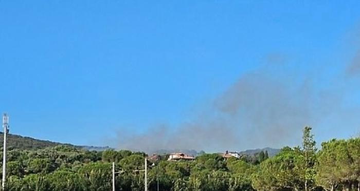 Brucia anche Follonica: in fumo mille metri quadrati di oliveto vicino al campo da golf