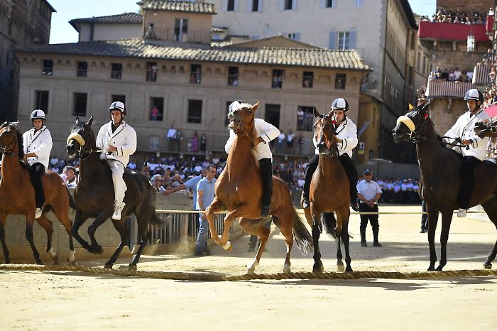 Batterie della Tratta