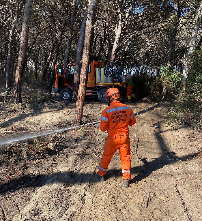 "Due ettari di pineta bruciati nell'incendio". Più punti di innesco, anche al di là della strada: si indaga sul dolo  