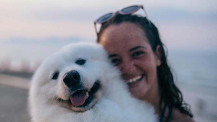 Caldo e animali: i consigli dell'Asl