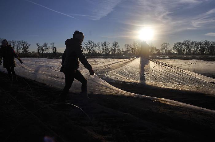Agricoltura rigenerativa: il ritorno alla terra dei giovani italiani tra innovazione e sostenibilità
