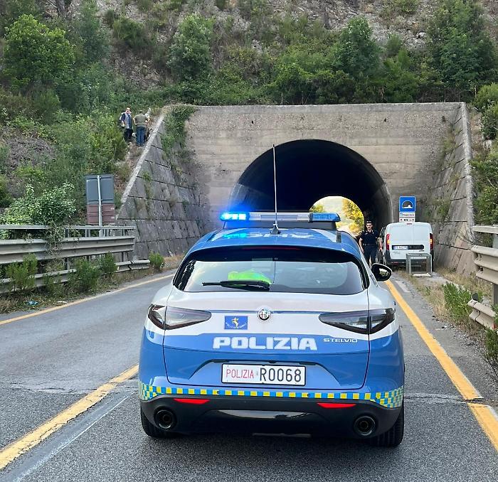 Recuperata la capra abbandonata che vagava sulla Statale: ora verrà data in affido