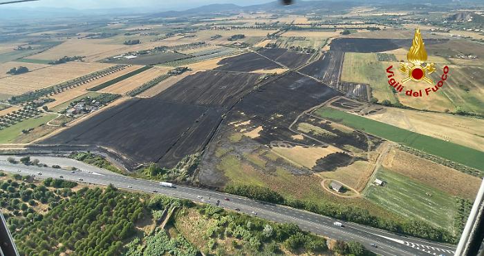 Cinquanta ettari di terreno bruciati da un incendio lungo la Statale: fuoco vicino ai poderi