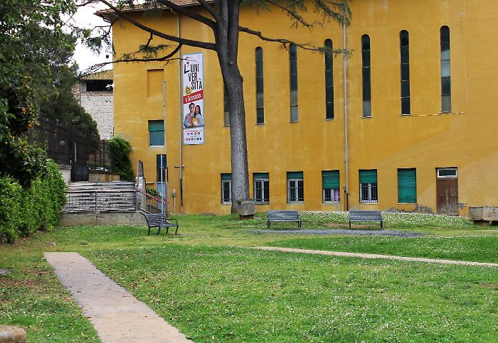 Università, aperte le immatricolazioni al nuovo anno accademico: tutti i corsi a Grosseto