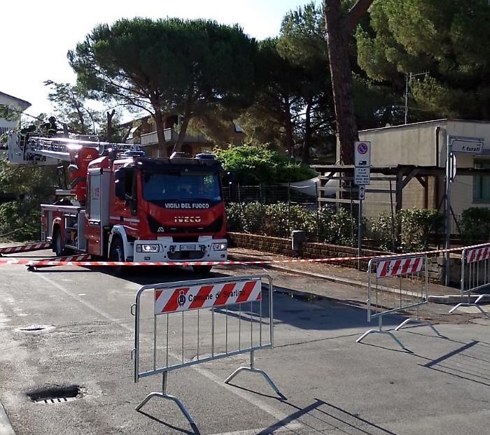 Pino caduto in giardino, l'asilo nido comunale resta chiuso: "Verifiche in corso sulle altre piante"