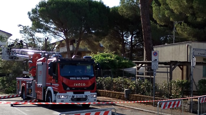 L'asilo nido riapre ma trasloca dopo il crollo del pino in giardino 