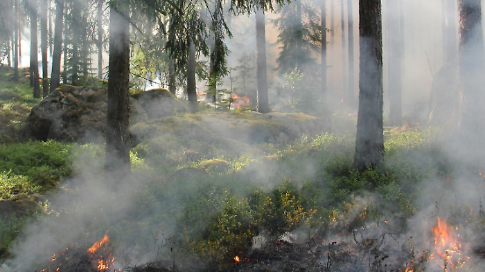 Prevenzione incendi