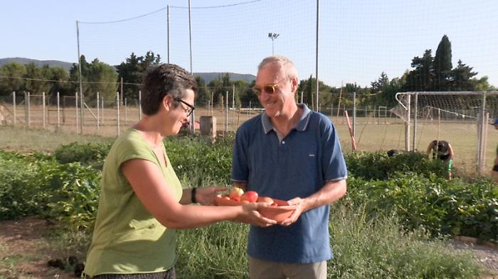 Nell'Orto del Mandorlo si coltiva la solidarietà per 200 famiglie: il progetto di Diocesi e Caritas 