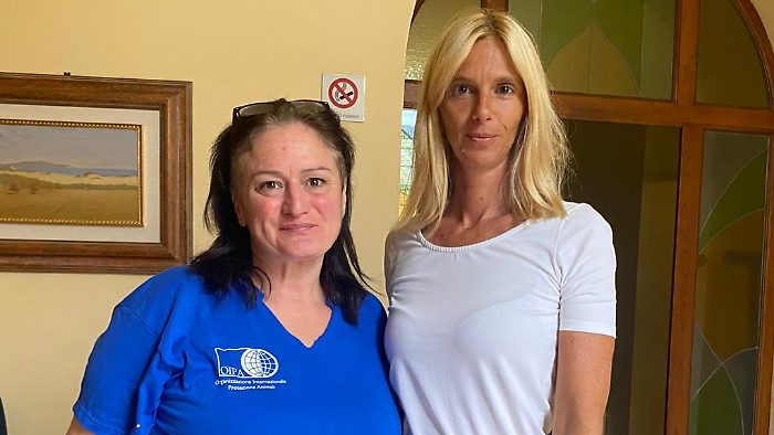 Nuova gestione per le colonie feline di Orbetello 