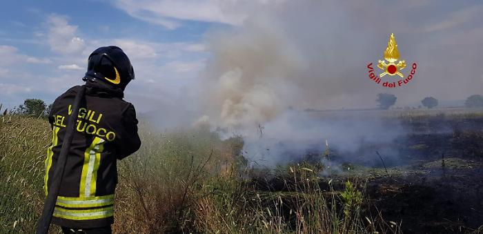 Sterpaglie a fuoco lungo l'Aurelia,  disagi per la circolazione
