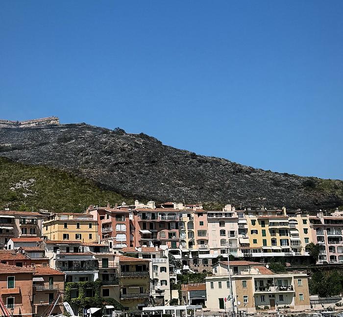 Fiamme domate, in cenere 2,5 ettari di vegetazione: via alla bonifica