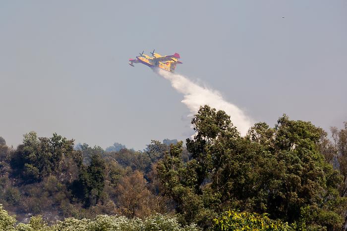 Italia in fumo, è dramma incendi: nel 2025 bruciata una superficie pari a 78.800 campi da calcio in 851 roghi