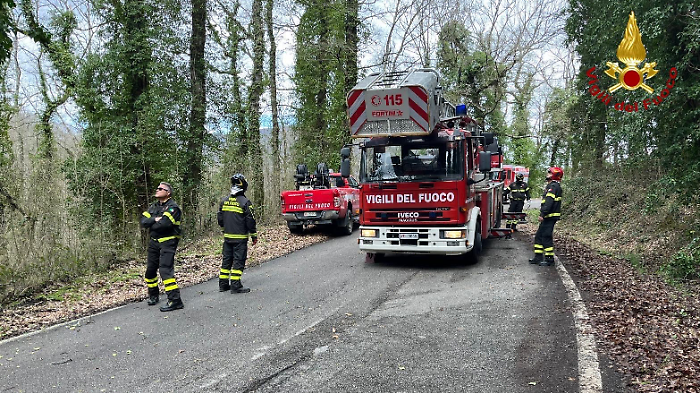 Una notte di lavoro per i Vigili del fuoco: piante abbattute e incendio d'auto