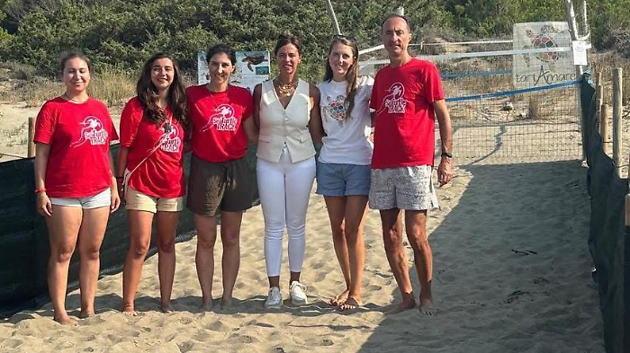 Il nido di tartaruga Caretta caretta delle Marze