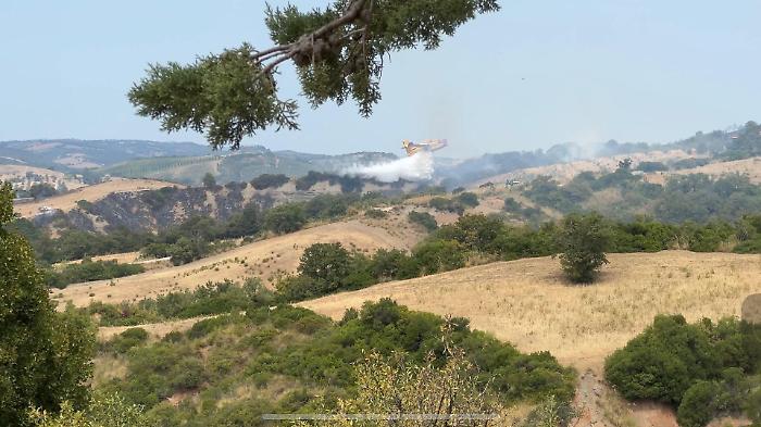 "Rogo contenuto all'80%: le fiamme hanno percorso 400 ettari" 