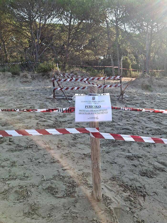 Due ordigni bellici sulla spiaggia libera: in arrivo gli artificieri