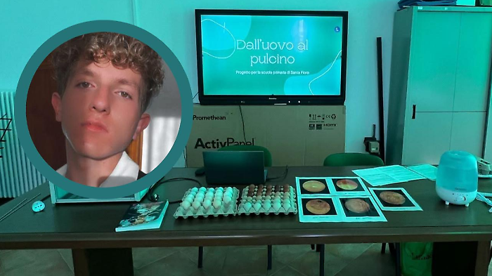 Nicolò Sorrentino e il suo lavoro