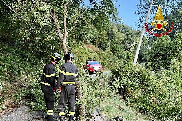 Malore nel bosco mentre cerca i funghi, salvato dai Vigili del fuoco 