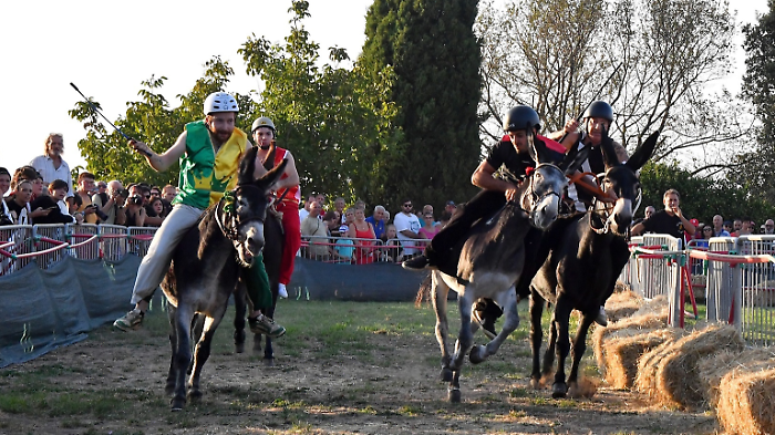 Il Palio dei Ciuchi 2024