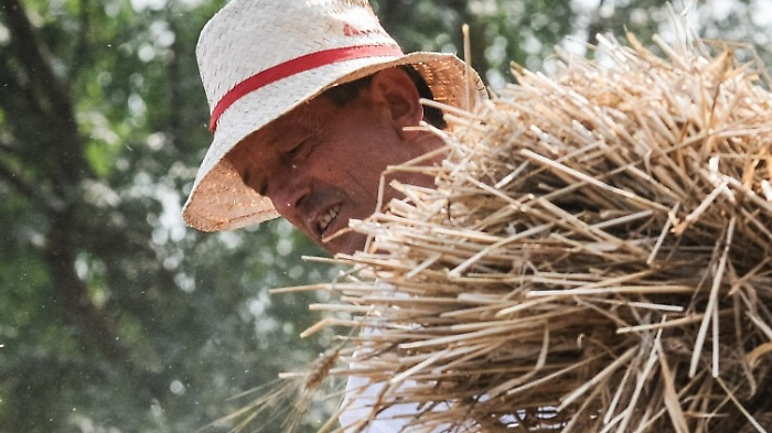 Franco Fontani