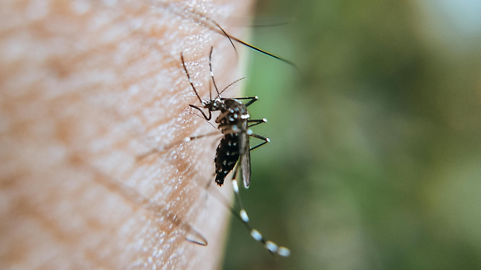 West Nile Virus (WNV)