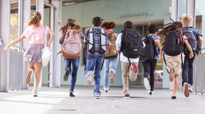Allarme precari tra il personale Ata: "Rischiamo di aprire l'anno con scuole e segreterie semivuote"