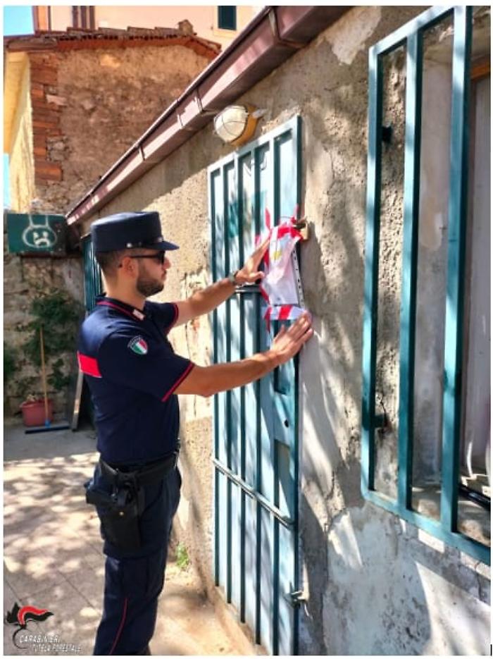 Controlli alle sagre, sequestrati quintali di carne di cinghiale e due celle frigorifere