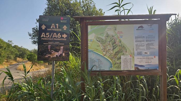 L'autunno è magico al Parco della Maremma: fauna in scena, escursioni e visite libere