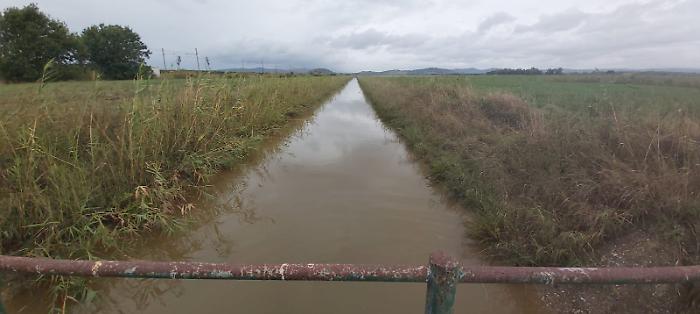 Il maltempo in Maremma: pioggia record al Giglio, allagamenti a Castiglione della Pescaia