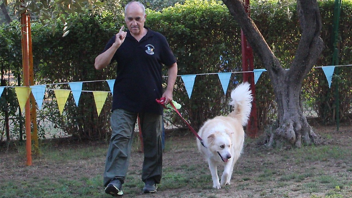 Pelosetti in passerella con la terza esposizione canina amatoriale di Montieri
