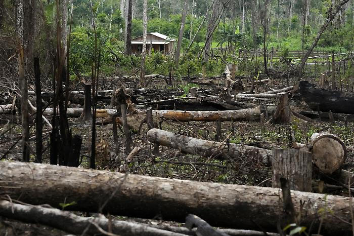 Sapiens – Un solo pianeta: stasera 20 settembre su Rai 3 la puntata ‘Foresta madre’ sull’Amazzonia e la lotta alla deforestazione