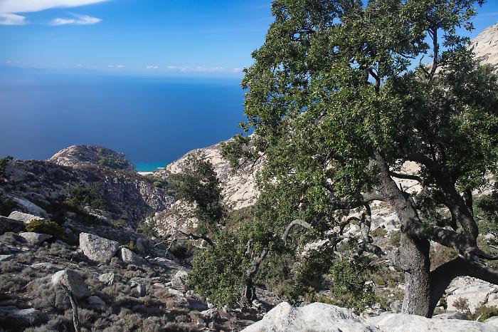 Il Parco Nazionale Arcipelago Toscano