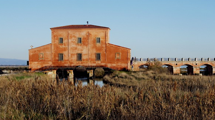 La Casa Rossa Ximenes a Castiglione della Pescaia