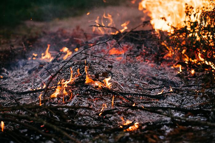 Il comune maremmano è stato inserito nel piano regionale per la prevenzione degli incendi boschivi