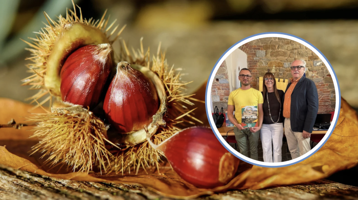La castagna diventa protagonista nel Bio-distretto Colline della Pia