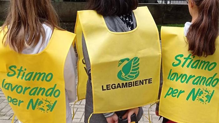 Torna il "Giglio di mare" sulla duna ripulita dagli studenti