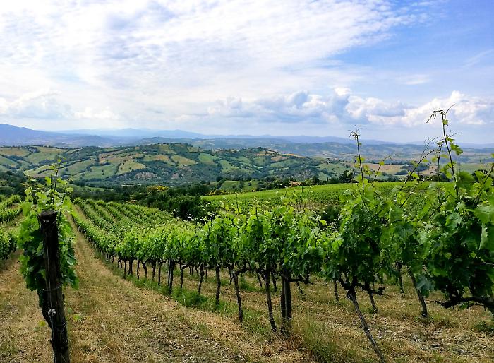 Anche il Consorzio del Montecucco dice no all'impianto eolico all'Abbandonato
