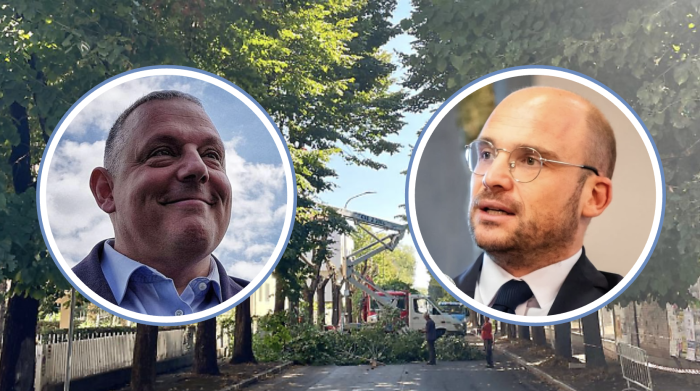 Sull'abbattimento dei 215 alberi in città è scontro fra Vivarelli Colonna e Rusci: "Cerca la ribalta, pensi al Parco della Maremma"