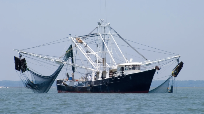 "Pescatori di nuovo in mare a dicembre: stop al fermo a fine novembre e ristori in arrivo"